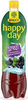 Rauch Happy Day Black Currant Sprizz Bottle 500ml