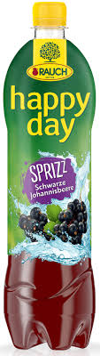 Rauch Happy Day Black Currant Sprizz Bottle 500ml
